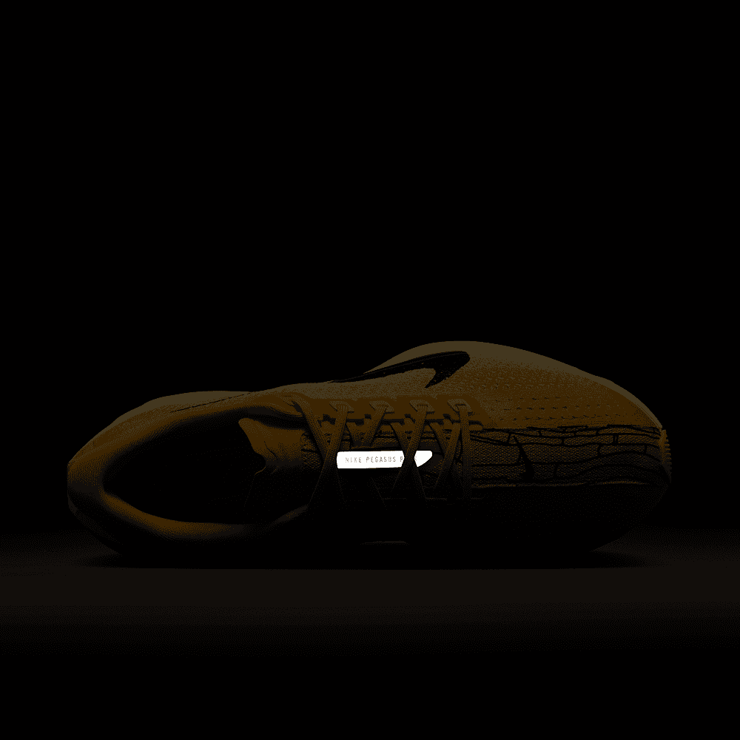 Nike Pegasus Plus Modern Mayfly Angle 5