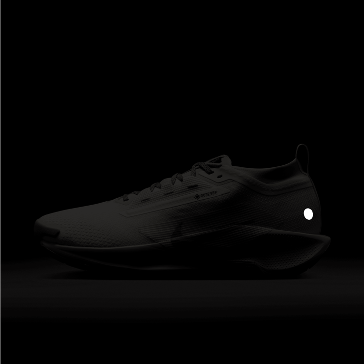 Nike React Pegasus Trail 5 Gore-Tex SP Summit White Angle 3