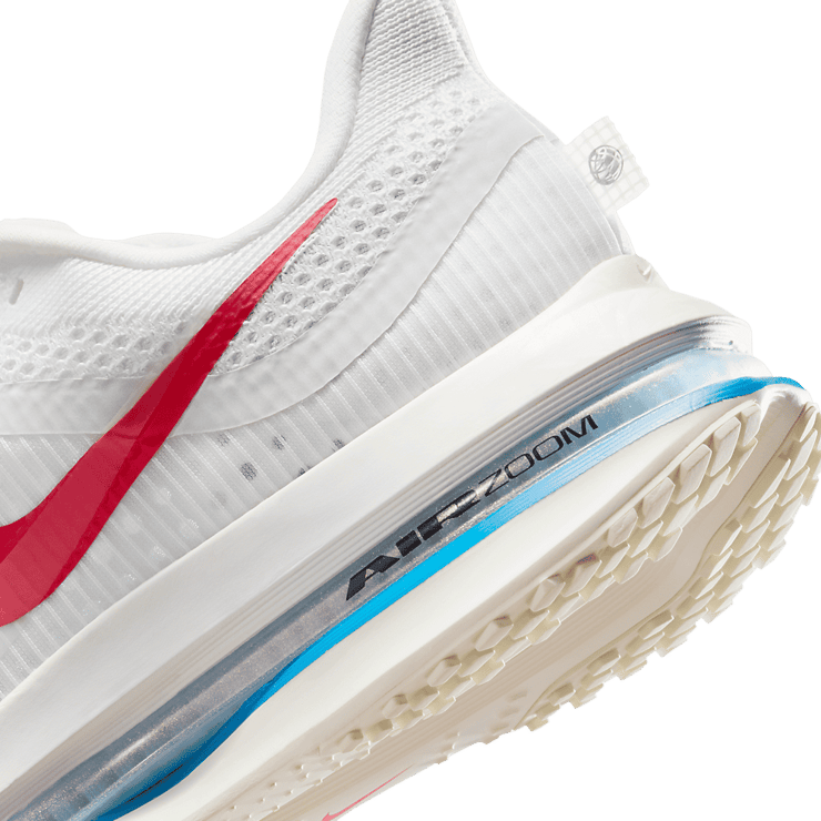 Nike Pegasus Premium Forrest Gump (W) Angle 4