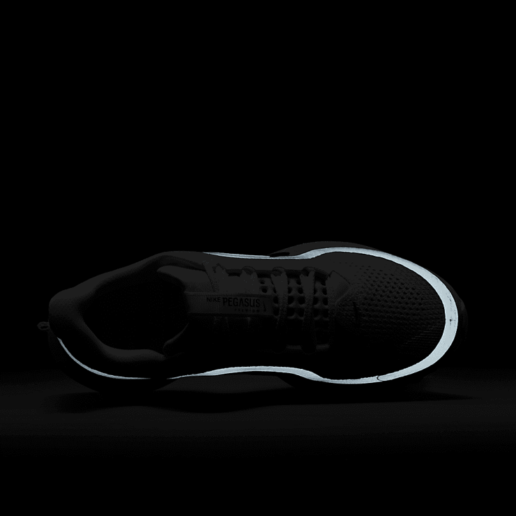 Nike Pegasus Premium White Mint Foam (W) Angle 5