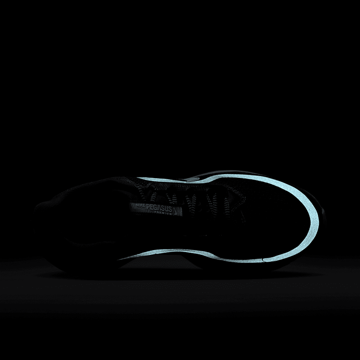 Nike Pegasus Premium Anthracite Angle 5