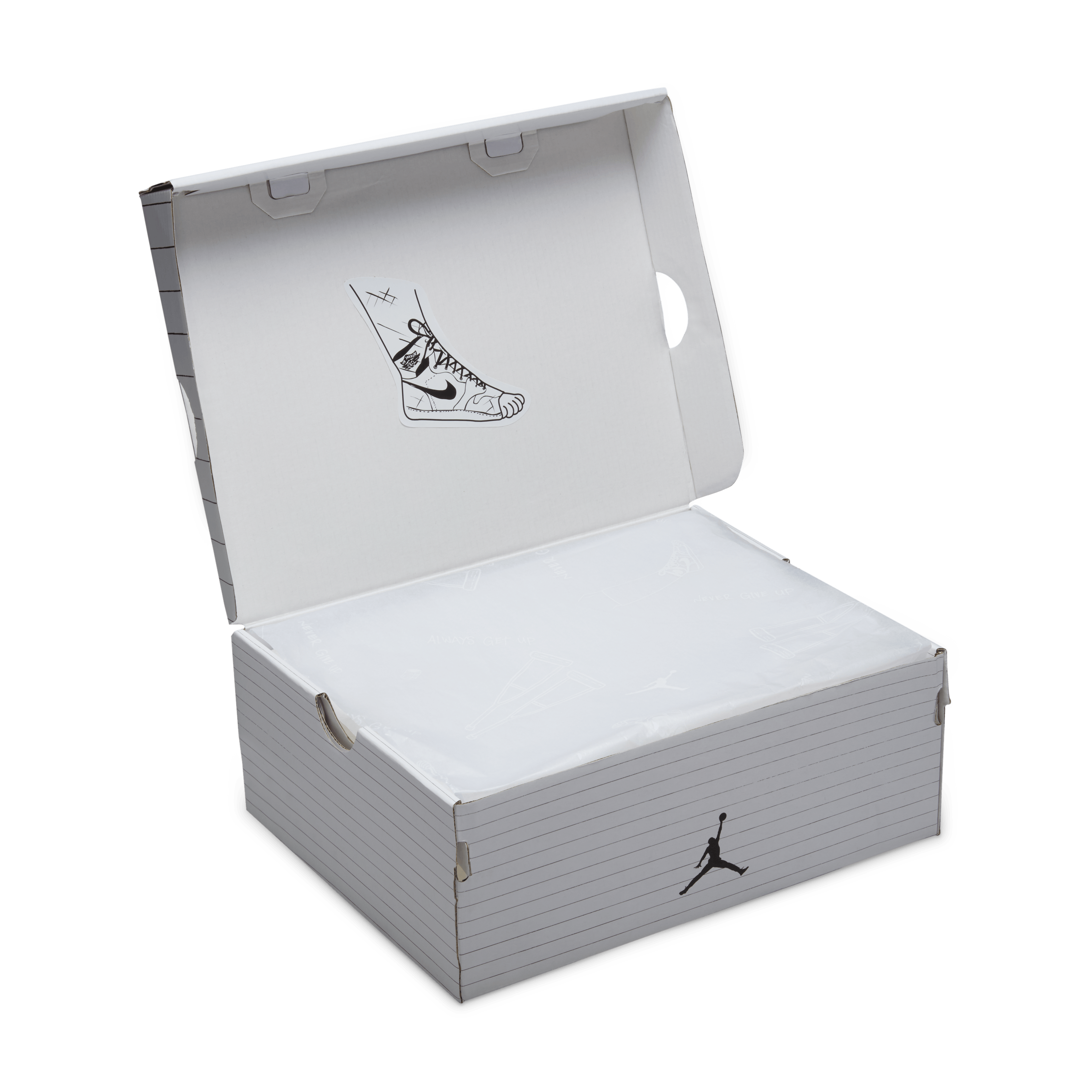 jordan 10 shoe box