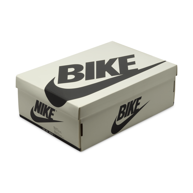Air Jordan 1 Retro Low OG Nigel Sylvester Better With Time Angle 5