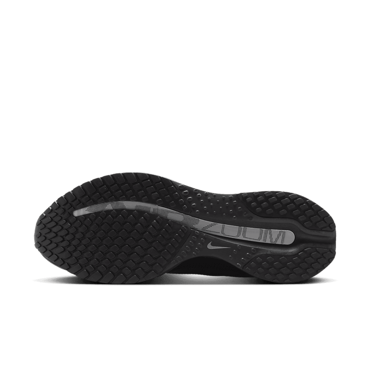 Nike Pegasus Premium Black Metallic Silver Angle 0