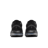 Nike Pegasus Premium Black Metallic Silver Angle 2