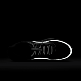 Nike Pegasus Premium Black Metallic Silver Angle 5