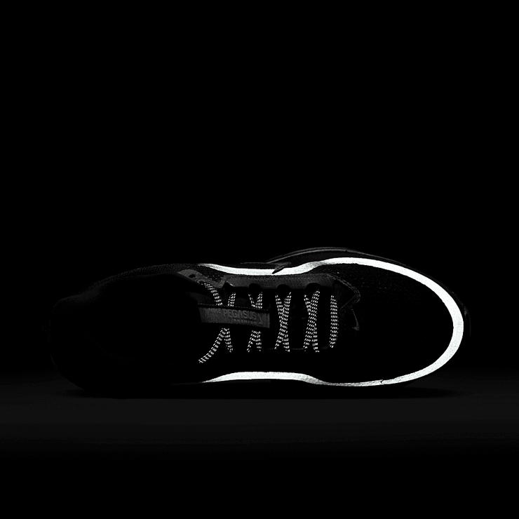 Nike Pegasus Premium Black Metallic Silver Angle 5