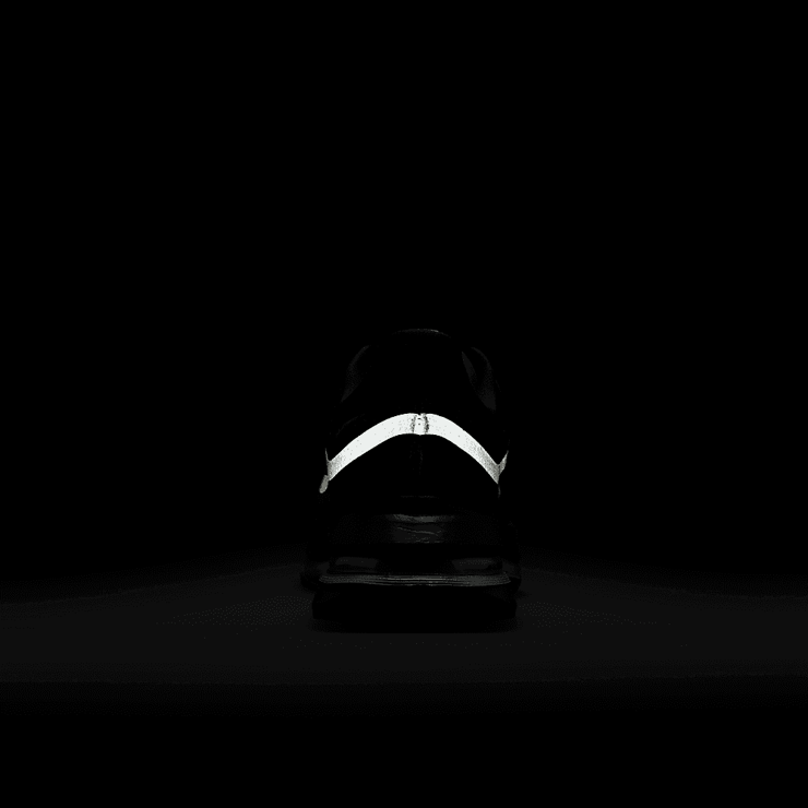 Nike Pegasus Premium Black Metallic Silver Angle 6