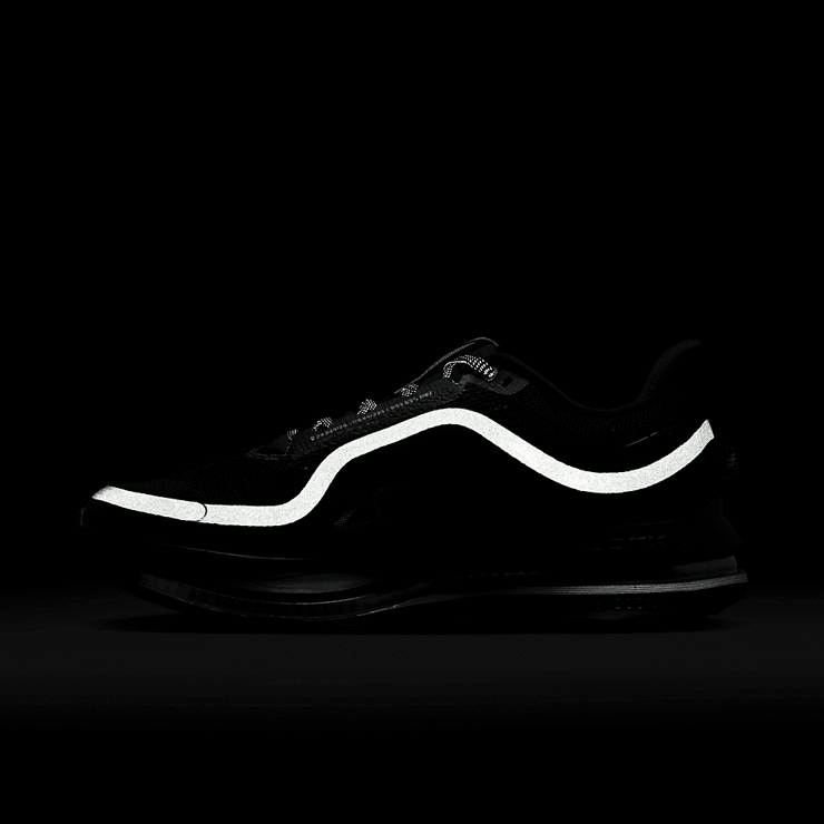 Nike Pegasus Premium Black Metallic Silver Angle 8