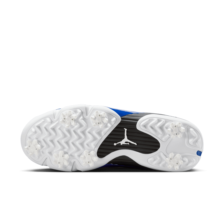 Air Jordan 14 Golf Hyper Royal Angle 1