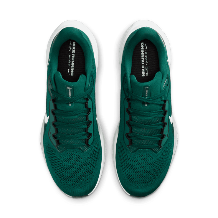 Nike Pegasus 41 NFL Philadelphia Eagles Angle 1