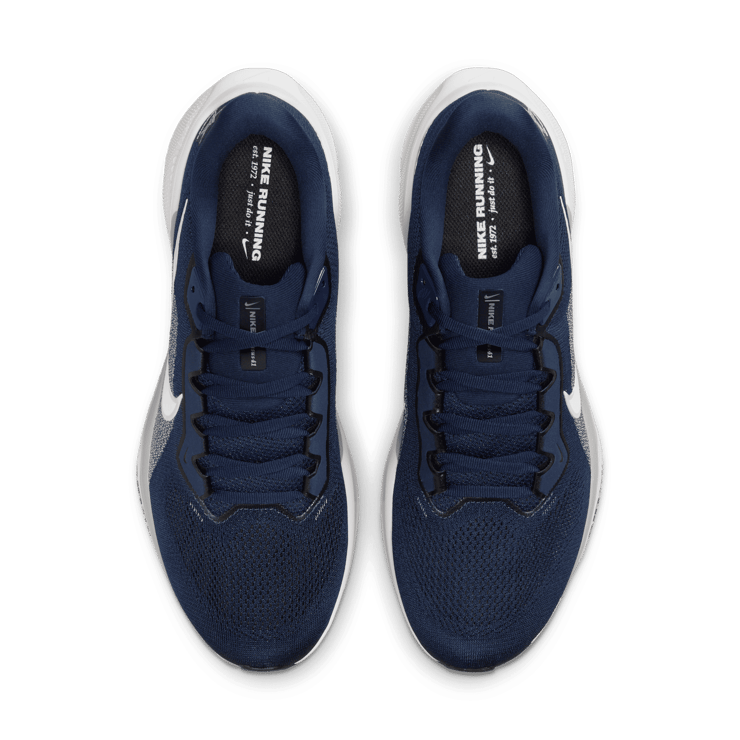 Nike Pegasus 41 NFL Dallas Cowboys Angle 1