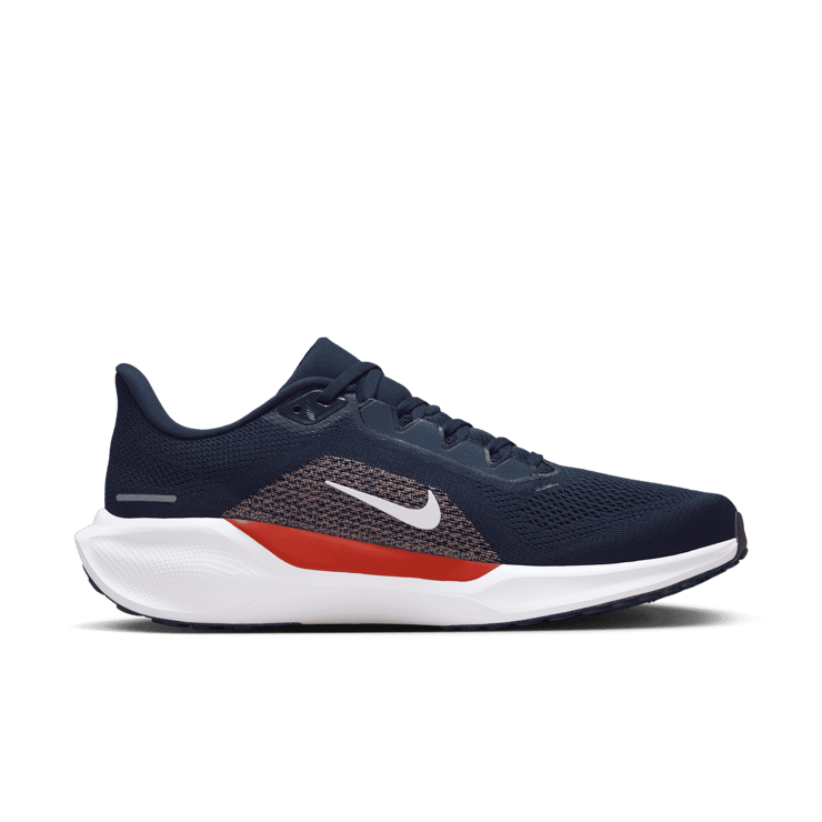 Nike Pegasus 41 NFL Chicago Bears Angle 0
