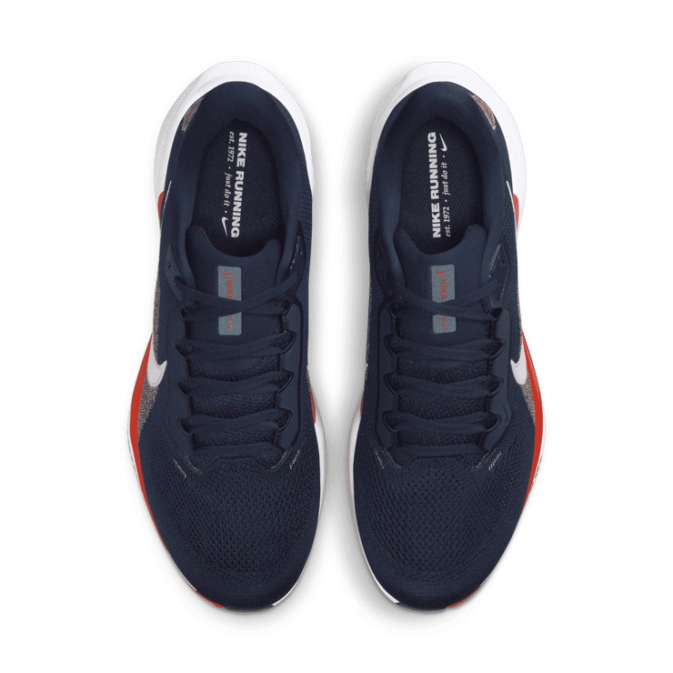 Nike Pegasus 41 NFL Chicago Bears Angle 1
