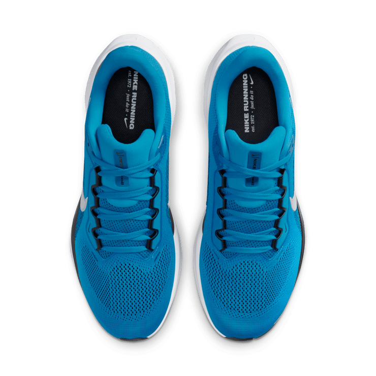 Nike Pegasus 41 NFL Carolina Panthers Angle 5