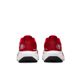 Nike Pegasus 41 NFL San Francisco 49ers Angle 2