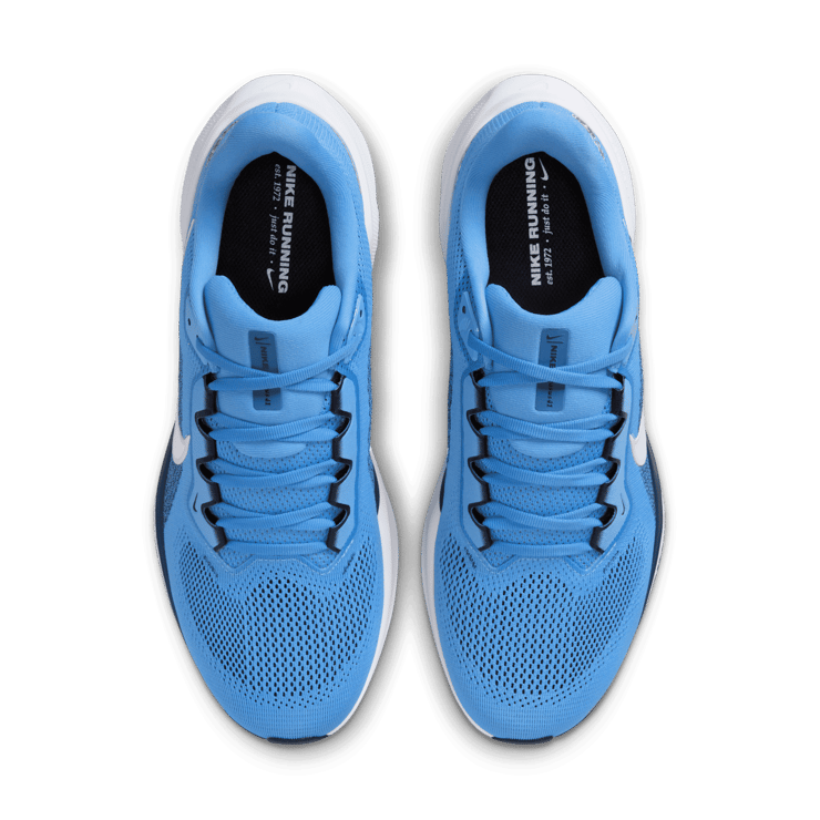 Nike Pegasus 41 NFL Tennessee Titans Angle 1