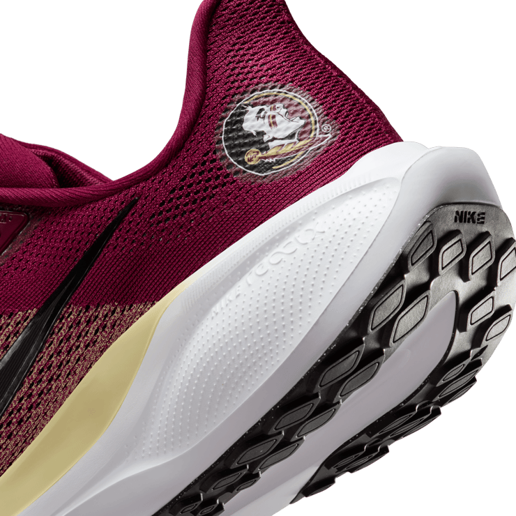 Nike Pegasus 41 NCAA FSU Angle 5