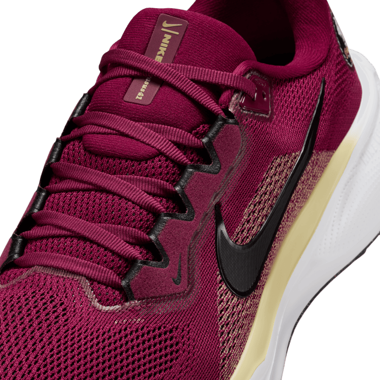 Nike Pegasus 41 NCAA FSU Angle 7