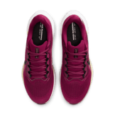 Nike Pegasus 41 NCAA FSU Angle 6