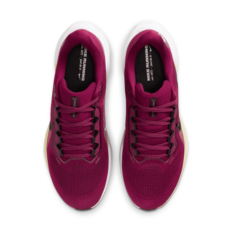 Nike Pegasus 41 NCAA FSU Angle 6