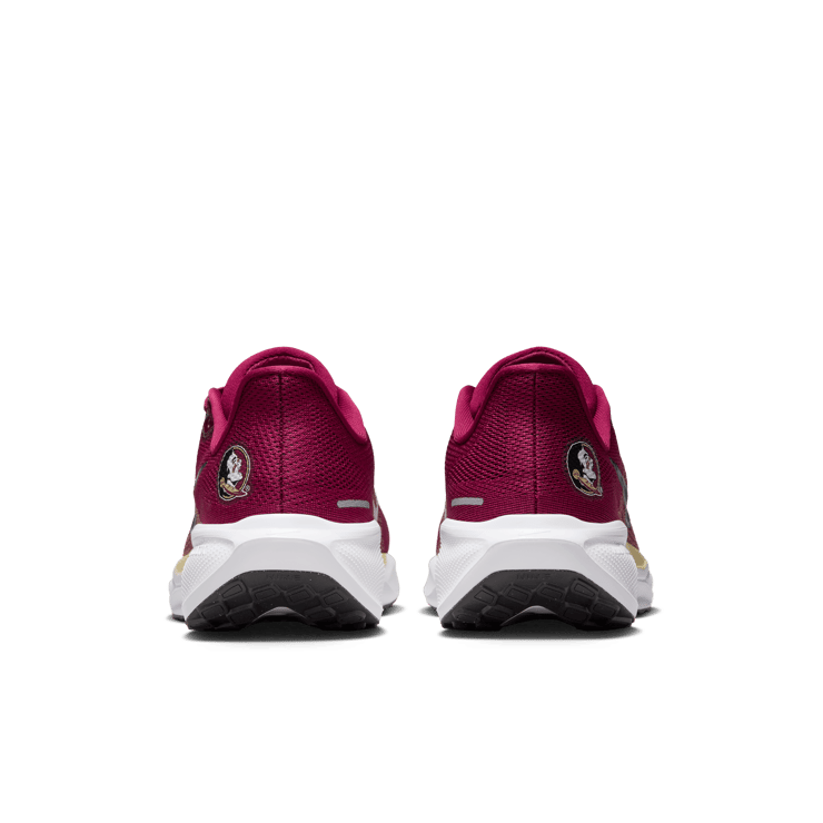 Nike Pegasus 41 NCAA FSU Angle 2