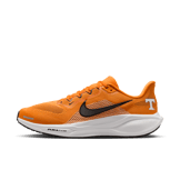 Nike Pegasus 41 NCAA Tennessee Angle 6