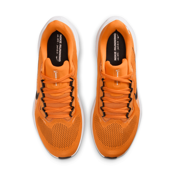 Nike Pegasus 41 NCAA Tennessee Angle 7