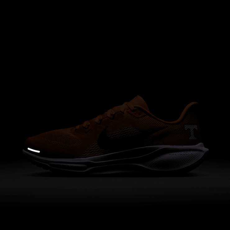 Nike Pegasus 41 NCAA Tennessee Angle 0