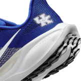 Nike Pegasus 41 NCAA Kentucky Angle 6