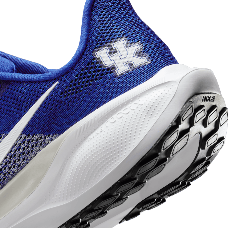 Nike Pegasus 41 NCAA Kentucky Angle 6
