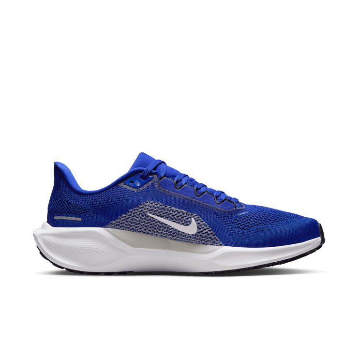 Nike Pegasus 41 NCAA Kentucky Angle 2