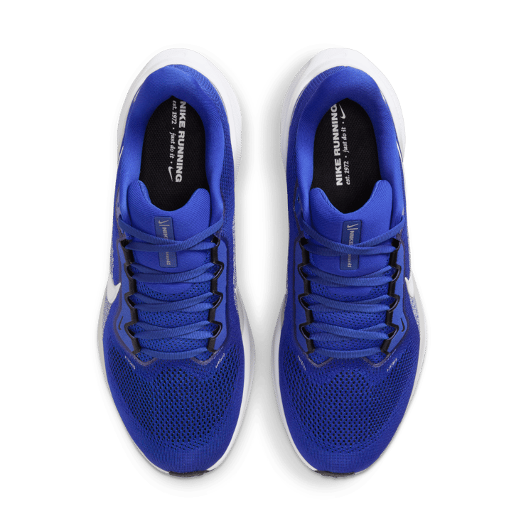 Nike Pegasus 41 NCAA Kentucky Angle 5