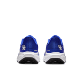 Nike Pegasus 41 NCAA Kentucky Angle 0