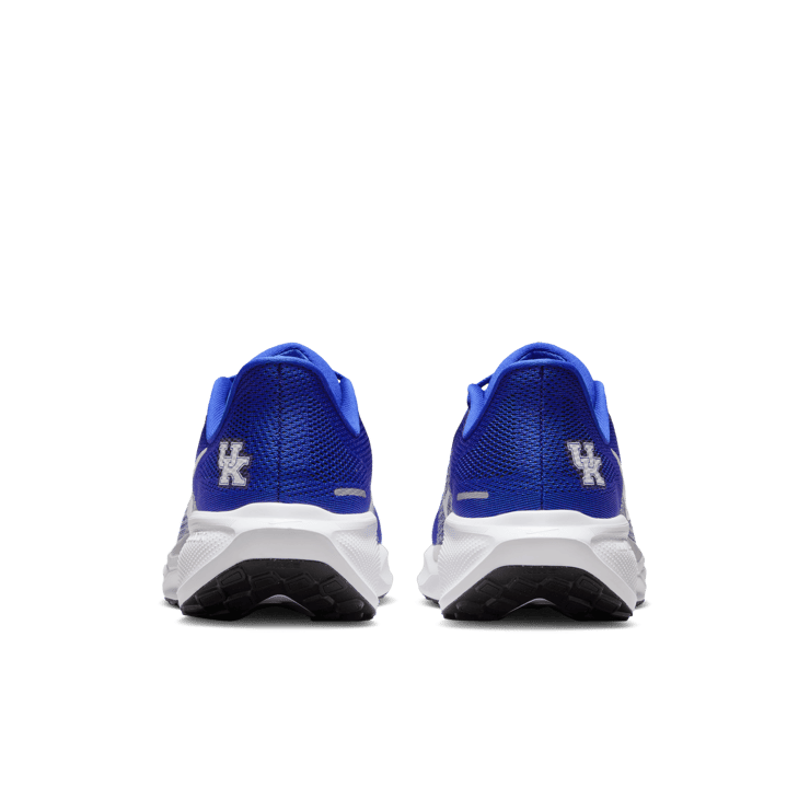 Nike Pegasus 41 NCAA Kentucky Angle 0
