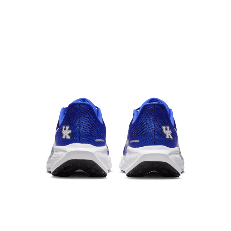 Nike Pegasus 41 NCAA Kentucky Angle 0