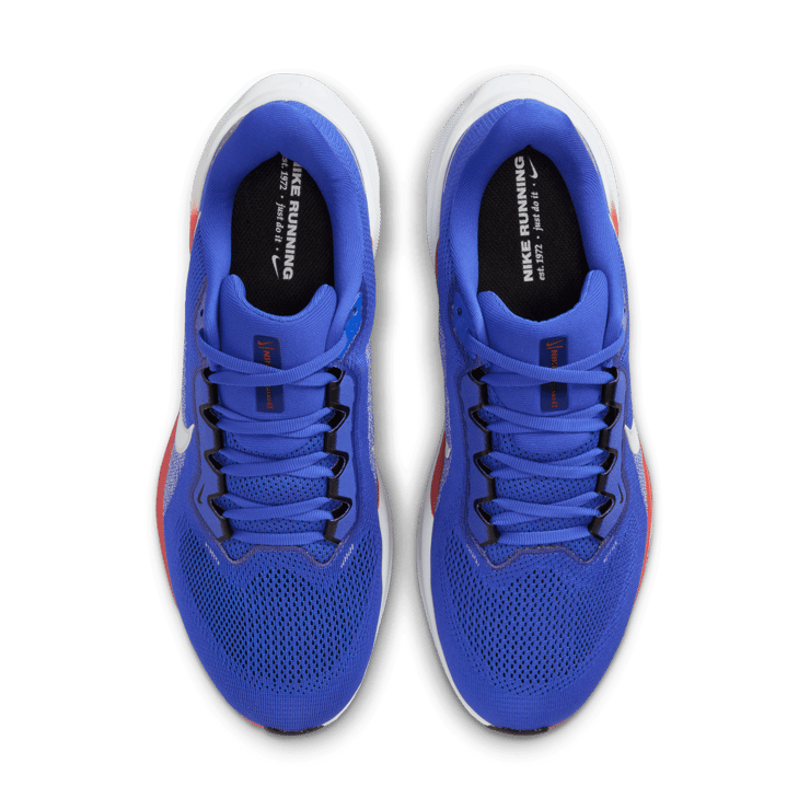 Nike Pegasus 41 NCAA UF Angle 5