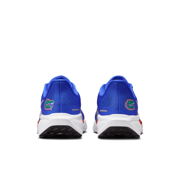 Nike Pegasus 41 NCAA UF Angle 2