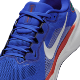 Nike Pegasus 41 NCAA UF Angle 7