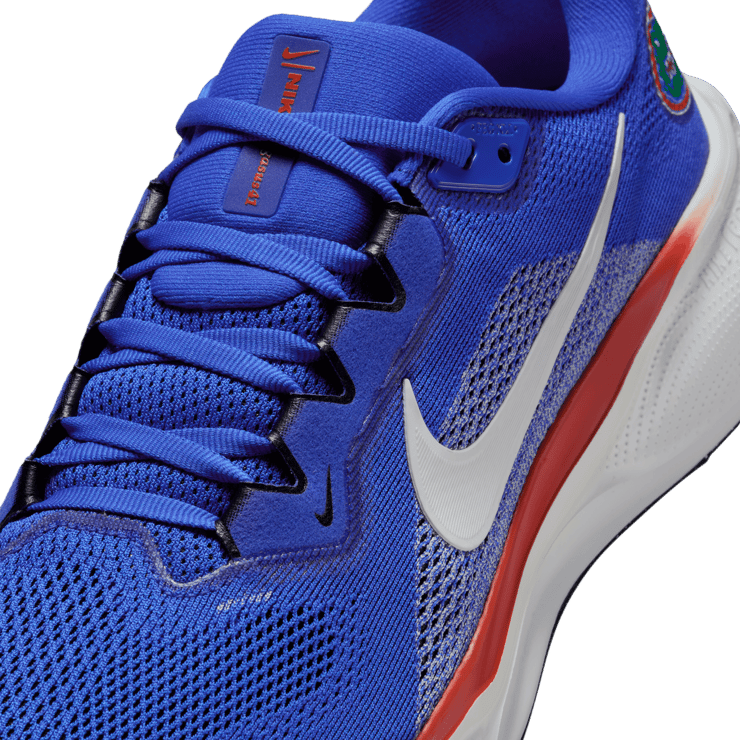Nike Pegasus 41 NCAA UF Angle 7