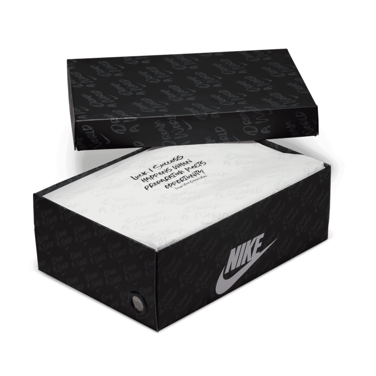 Nike Air Foamposite One Dream A World Grey Angle 7