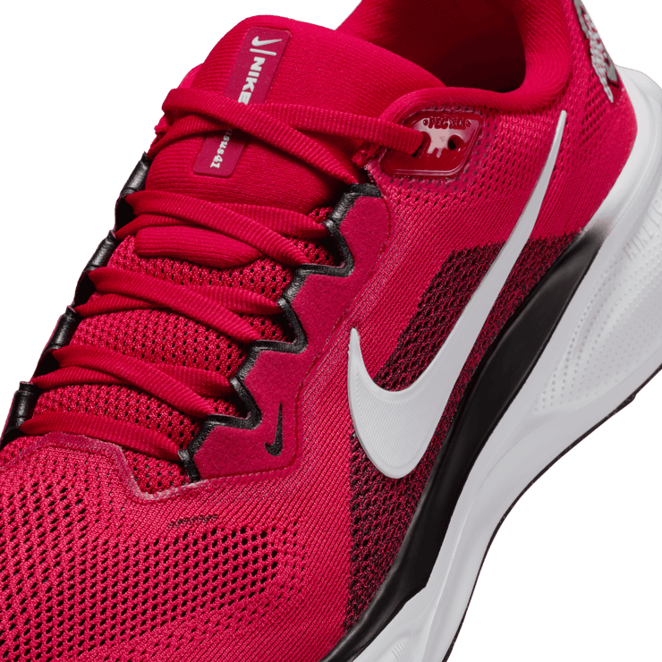 Nike Pegasus 41 NCAA Ohio State Angle 21
