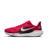 Nike Pegasus 41 NCAA Ohio State Angle 10