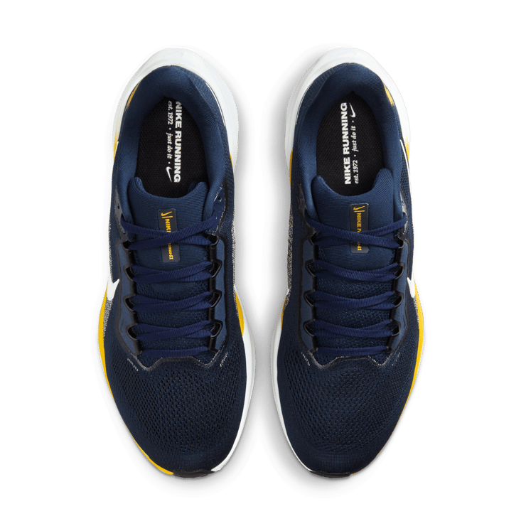 Nike Pegasus 41 NCAA Michigan Angle 6