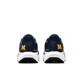 Nike Pegasus 41 NCAA Michigan Angle 2