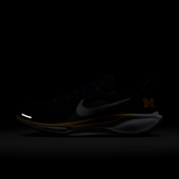 Nike Pegasus 41 NCAA Michigan Angle 0