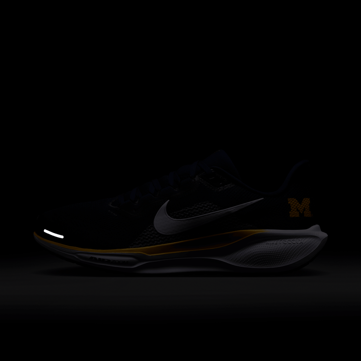 Nike Pegasus 41 NCAA Michigan Angle 0