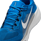 Nike Pegasus 41 NFL Detroit Lions Angle 4