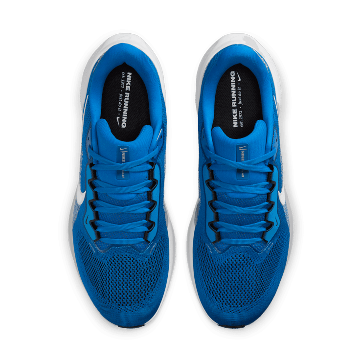 Nike Pegasus 41 NFL Detroit Lions Angle 3