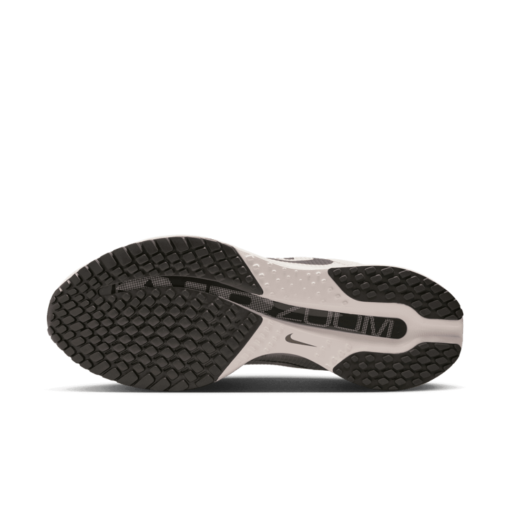 Nike Pegasus Premium Run Angle 2